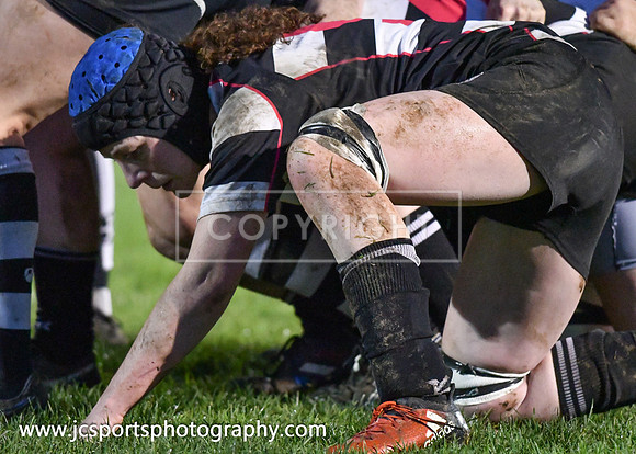 Old Belvedere RFC 5 Cooke RFC 0; January 26th 2019; Womens All Ireland League Round 10