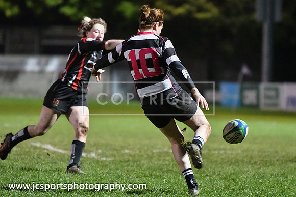 Old Belvedere RFC 5 Cooke RFC 0; January 26th 2019; Womens All Ireland League Round 10