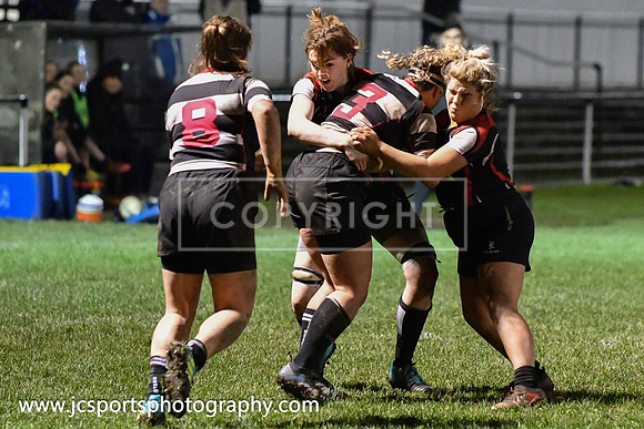 Old Belvedere RFC 5 Cooke RFC 0; January 26th 2019; Womens All Ireland League Round 10