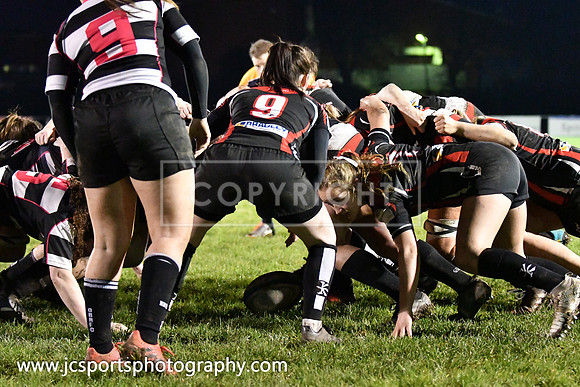 Old Belvedere RFC 5 Cooke RFC 0; January 26th 2019; Womens All Ireland League Round 10
