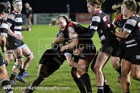 Old Belvedere RFC 5 Cooke RFC 0; January 26th 2019; Womens All Ireland League Round 10