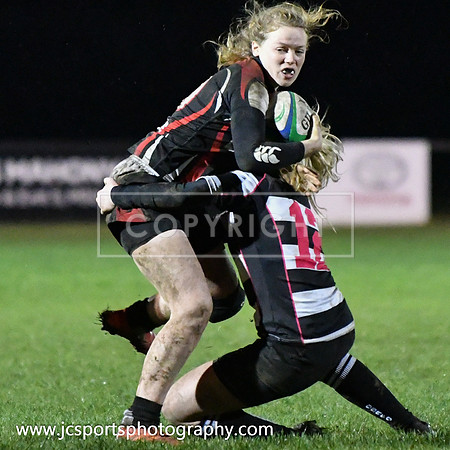 Old Belvedere RFC 5 Cooke RFC 0; January 26th 2019; Womens All Ireland League Round 10