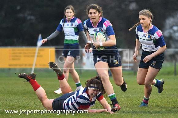 Blackrock RFC 19 Suttonians RFC 3; February 16th 2019; Womens All Ireland Cup Semifinal