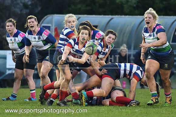 Blackrock RFC 19 Suttonians RFC 3; February 16th 2019; Womens All Ireland Cup Semifinal
