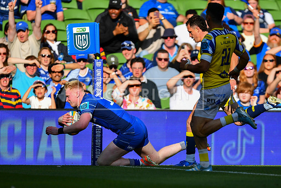 FIL LEINSTER ZEBRE