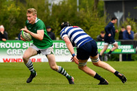 AIL 2B Promotion playoff. Greystones RFC v Blackrock College RFC. Saturday 30th April. Dr Hickey Park.