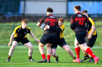 Leinster Senior Development Cup
