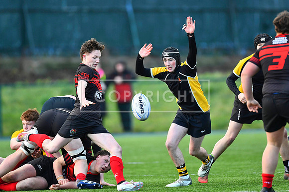 Kildare Town CS scrumhalf Ryan Murphy with the box kick.