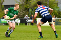 AIL 2B Promotion playoff. Greystones RFC v Blackrock College RFC. Saturday 30th April. Dr Hickey Park.