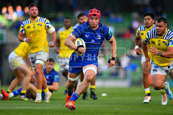 FIL LEINSTER ZEBRE