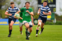 AIL 2B Promotion playoff. Greystones RFC v Blackrock College RFC. Saturday 30th April. Dr Hickey Park.