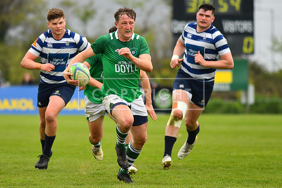 AIL 2B Promotion playoff. Greystones RFC v Blackrock College RFC. Saturday 30th April. Dr Hickey Park.
