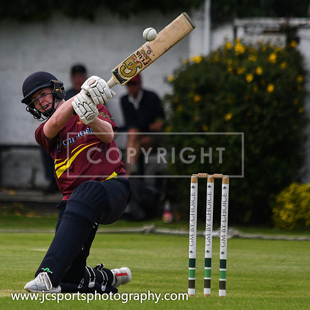 Pembroke v Leinster; LHW Financial Planning Senior League Cup A; Saturday 18th July