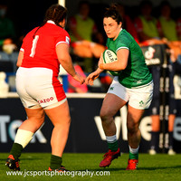 Ireland v Wales