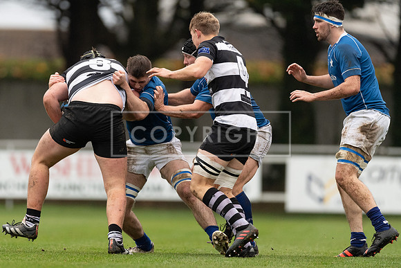 St Marys v Old Belvedere