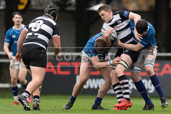 St Marys v Old Belvedere
