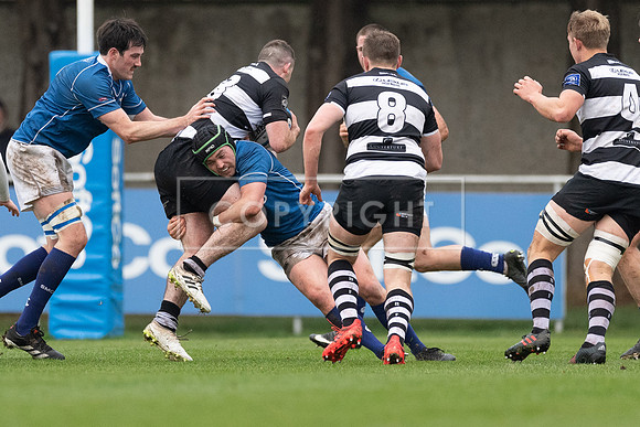 St Marys v Old Belvedere