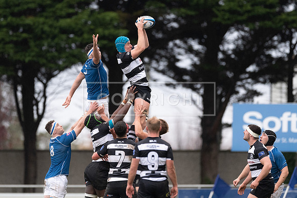 St Marys v Old Belvedere