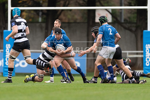 St Marys v Old Belvedere