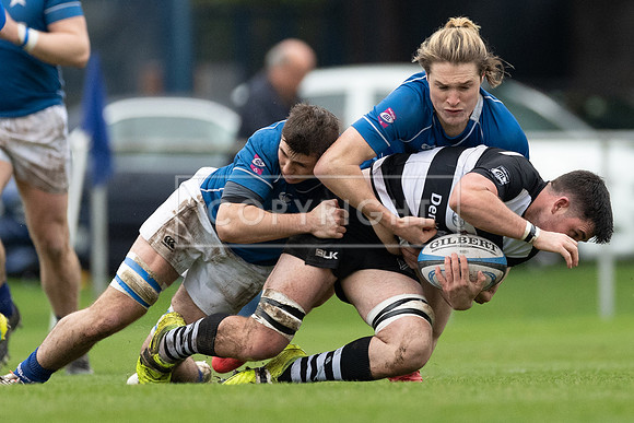 St Marys v Old Belvedere