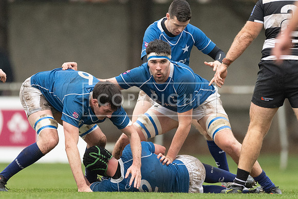 St Marys v Old Belvedere
