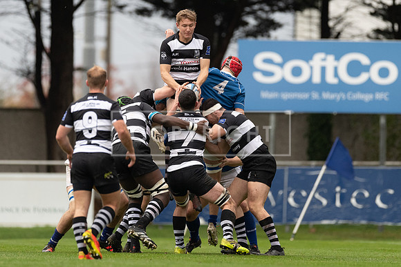 St Marys v Old Belvedere