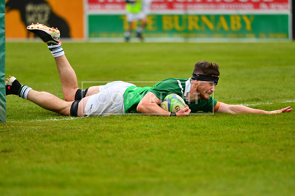 AIL 2B Promotion playoff. Greystones RFC v Blackrock College RFC. Saturday 30th April. Dr Hickey Park.