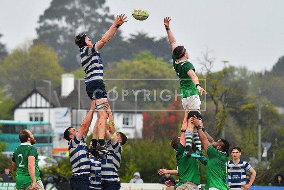 AIL 2B Promotion playoff. Greystones RFC v Blackrock College RFC. Saturday 30th April. Dr Hickey Park.