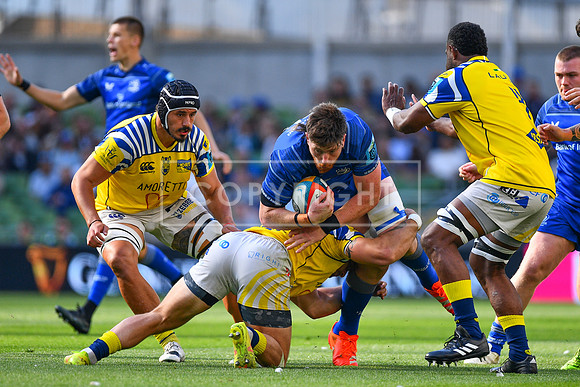 FIL LEINSTER ZEBRE