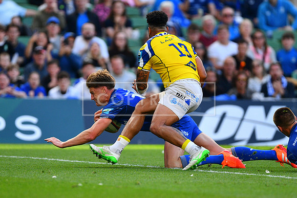 FIL LEINSTER ZEBRE