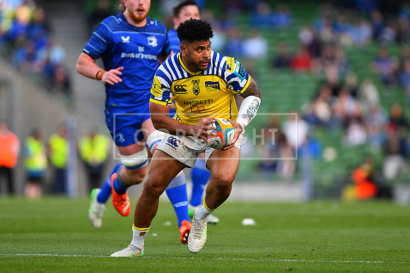 FIL LEINSTER ZEBRE