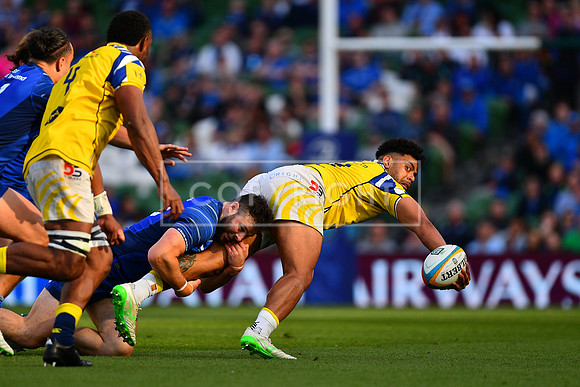 FIL LEINSTER ZEBRE