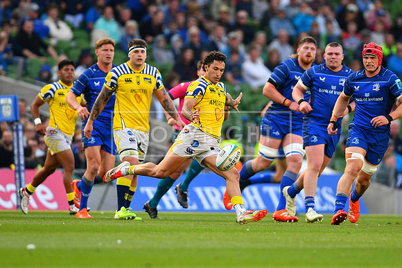 FIL LEINSTER ZEBRE
