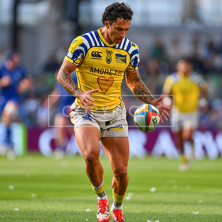 FIL LEINSTER ZEBRE