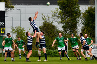 AIL 2B Promotion playoff. Greystones RFC v Blackrock College RFC. Saturday 30th April. Dr Hickey Park.