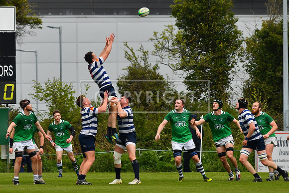 AIL 2B Promotion playoff. Greystones RFC v Blackrock College RFC. Saturday 30th April. Dr Hickey Park.