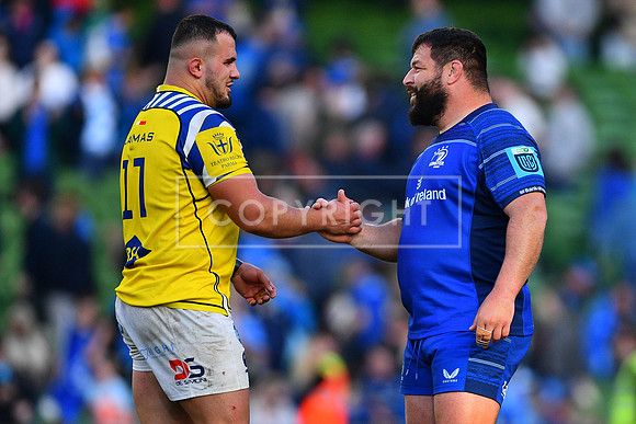 FIL LEINSTER ZEBRE