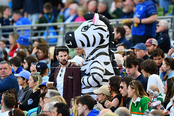 FIL LEINSTER ZEBRE