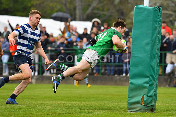AIL 2B Promotion playoff. Greystones RFC v Blackrock College RFC. Saturday 30th April. Dr Hickey Park.