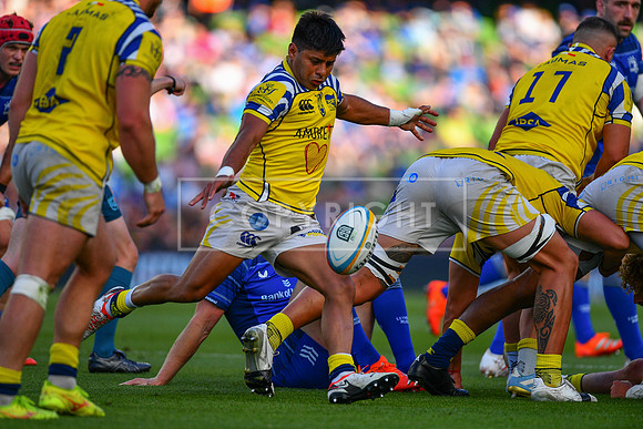 FIL LEINSTER ZEBRE