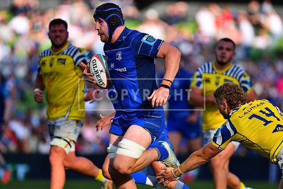 FIL LEINSTER ZEBRE