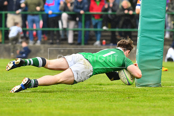 AIL 2B Promotion playoff. Greystones RFC v Blackrock College RFC. Saturday 30th April. Dr Hickey Park.