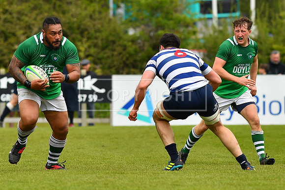 AIL 2B Promotion playoff. Greystones RFC v Blackrock College RFC. Saturday 30th April. Dr Hickey Park.