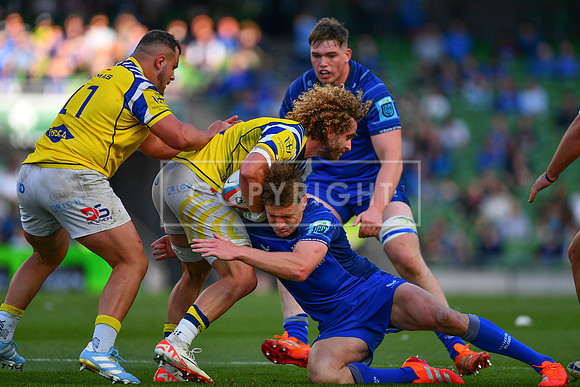 FIL LEINSTER ZEBRE