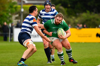 AIL 2B Promotion playoff. Greystones RFC v Blackrock College RFC. Saturday 30th April. Dr Hickey Park.