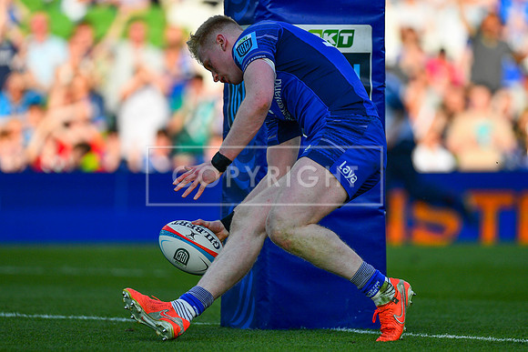 FIL LEINSTER ZEBRE