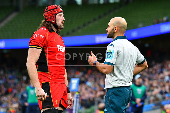 FIL LEINSTER CARDIFF