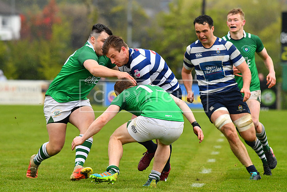AIL 2B Promotion playoff. Greystones RFC v Blackrock College RFC. Saturday 30th April. Dr Hickey Park.