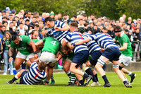 AIL 2B Promotion playoff. Greystones RFC v Blackrock College RFC. Saturday 30th April. Dr Hickey Park.